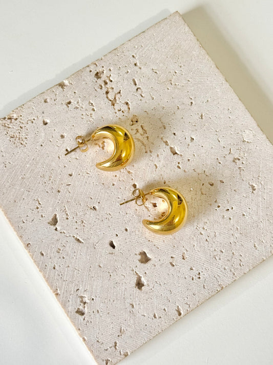 Brillas Earrings