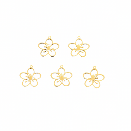 Amapola Charm 🌺
