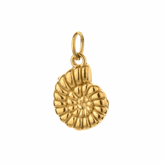 Caracol 🐌 Charm