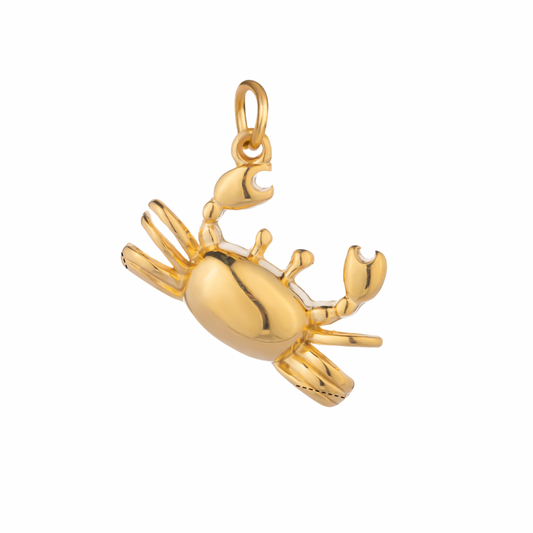 Cangrejo Charm 🦀