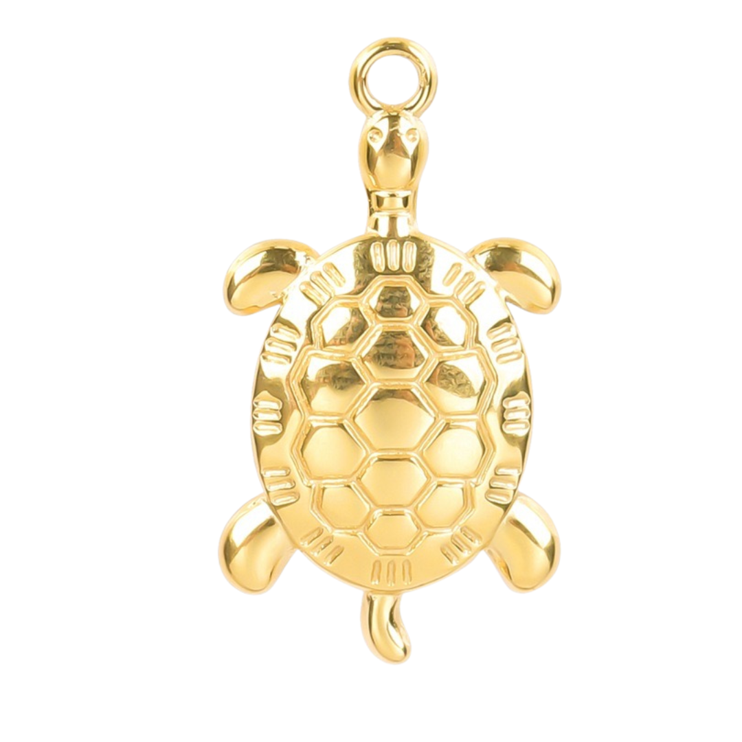 Turtle Charm🐢