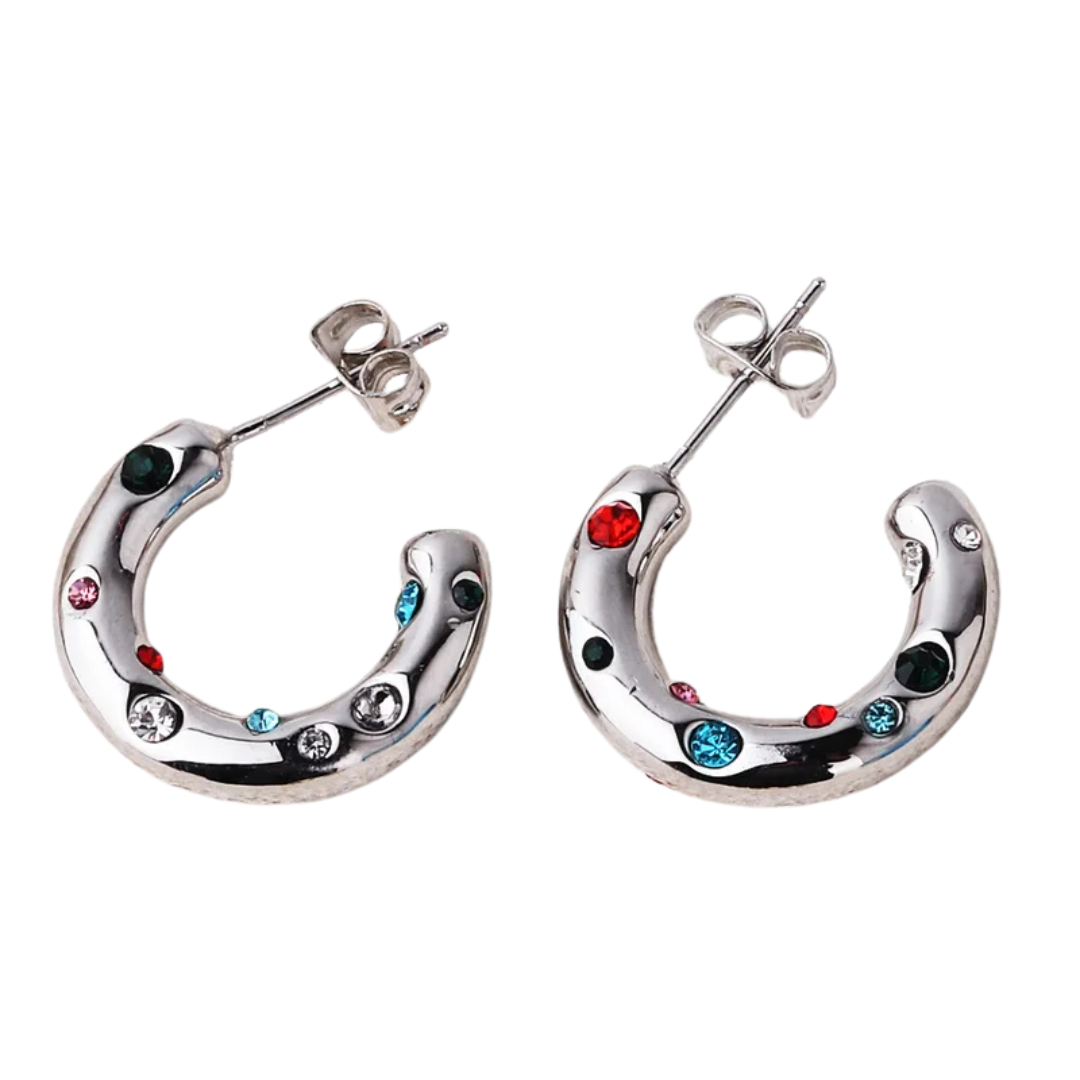 Colorful Earrings *Silver*